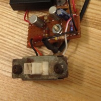 2.2-Fuzzface-IMG_2193-crop